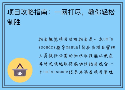 项目攻略指南：一网打尽，教你轻松制胜