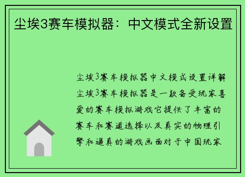 尘埃3赛车模拟器：中文模式全新设置